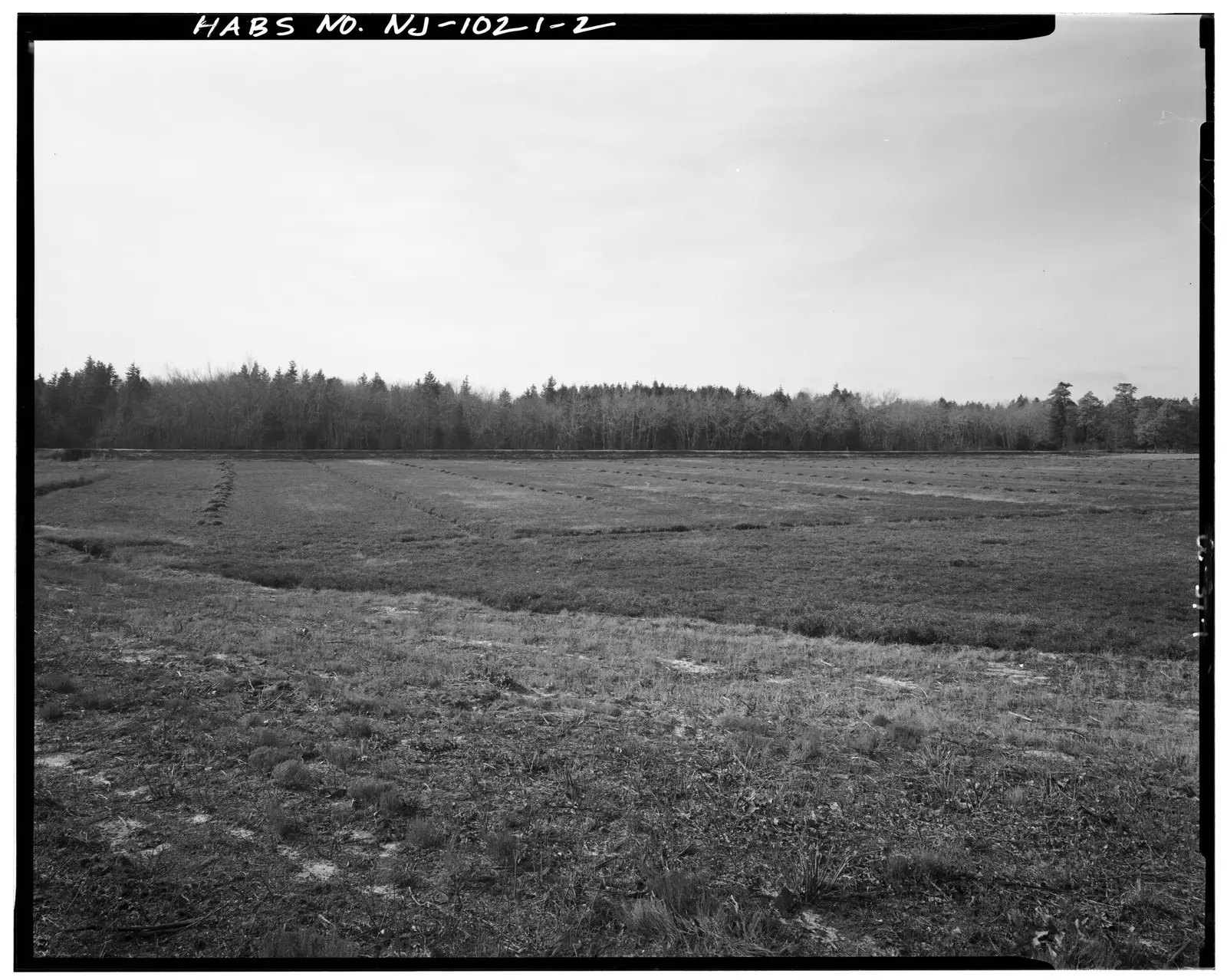 CRANBERRY BOG, VIEW LOOKING WEST - Double Trouble State Park, County Road , West of Garden State Parkway, Double Trouble, Ocean County,…