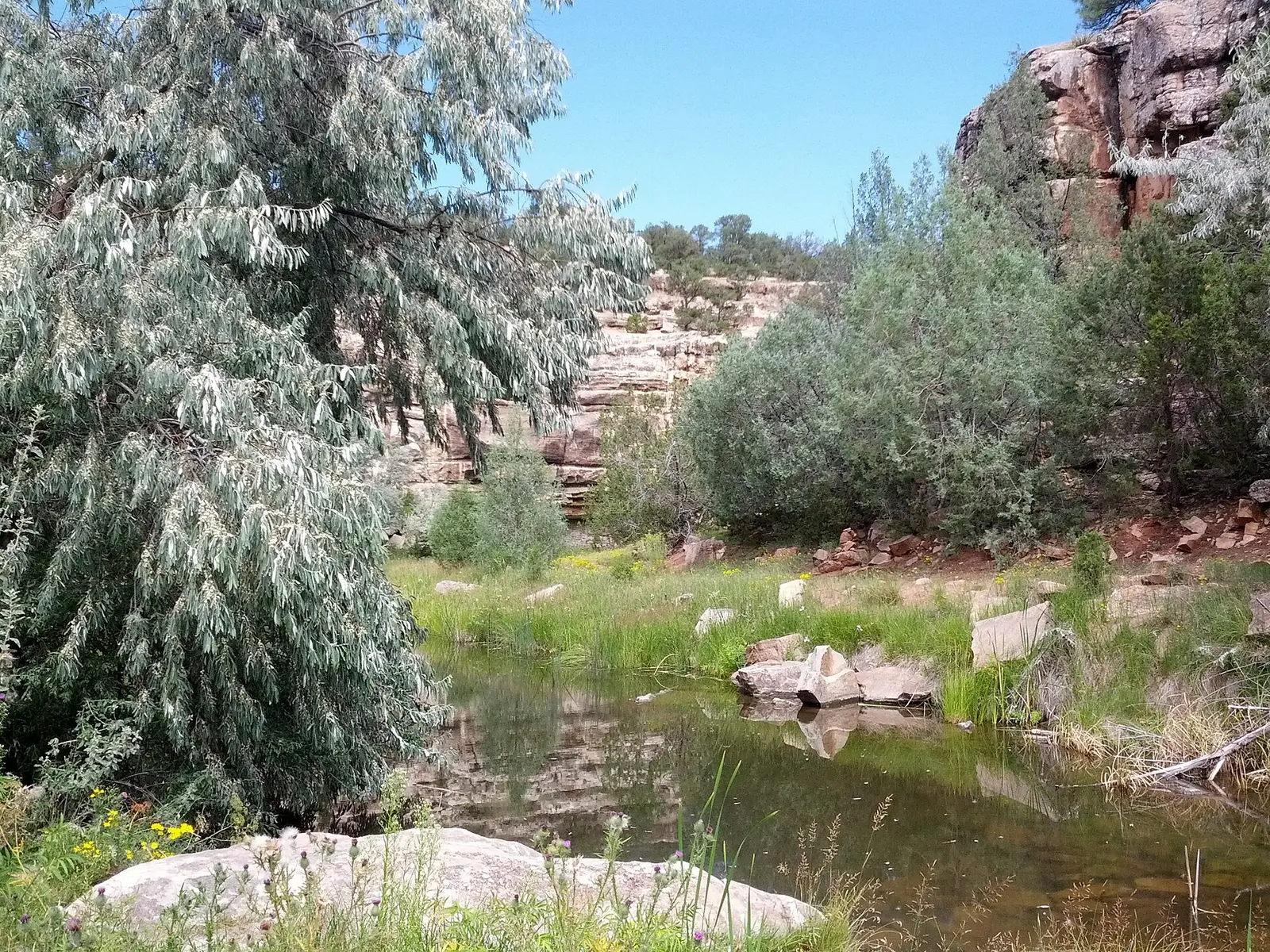 Bluewater Creek, in Bluewater Lake State Park , New Mexico