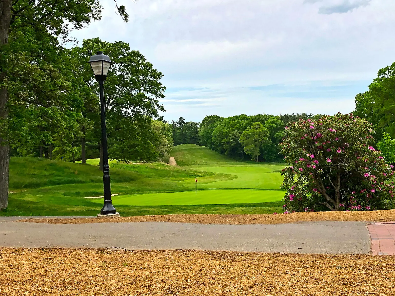 The Bethpage Golf Green Course (The PGA Championship was held at the close-by Black Course)