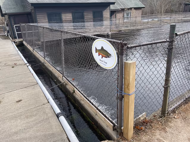 A brook trout hatchery in the Connetquot River State Park Reserve