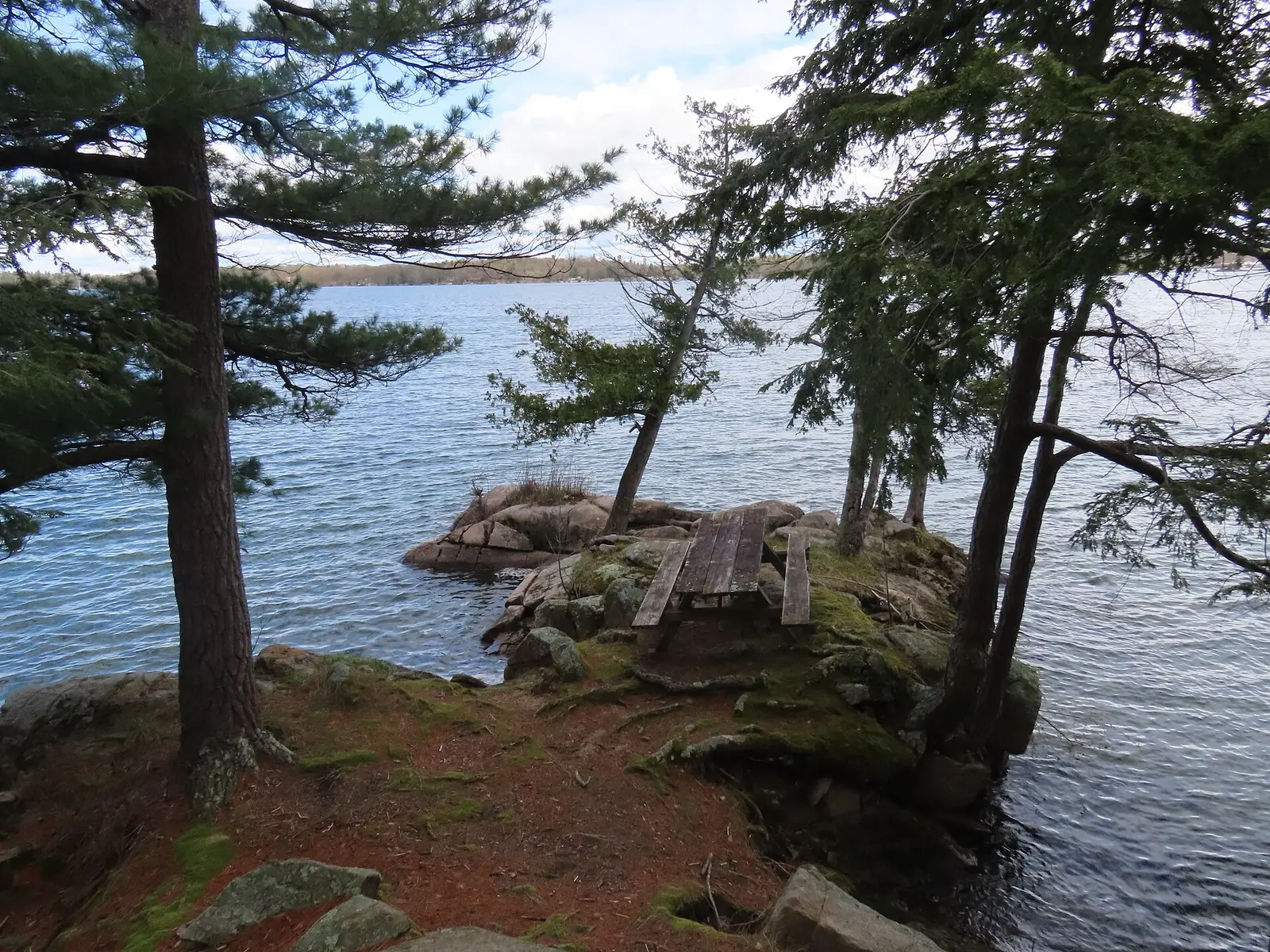 Campgrounds at Wellesley Island State Park