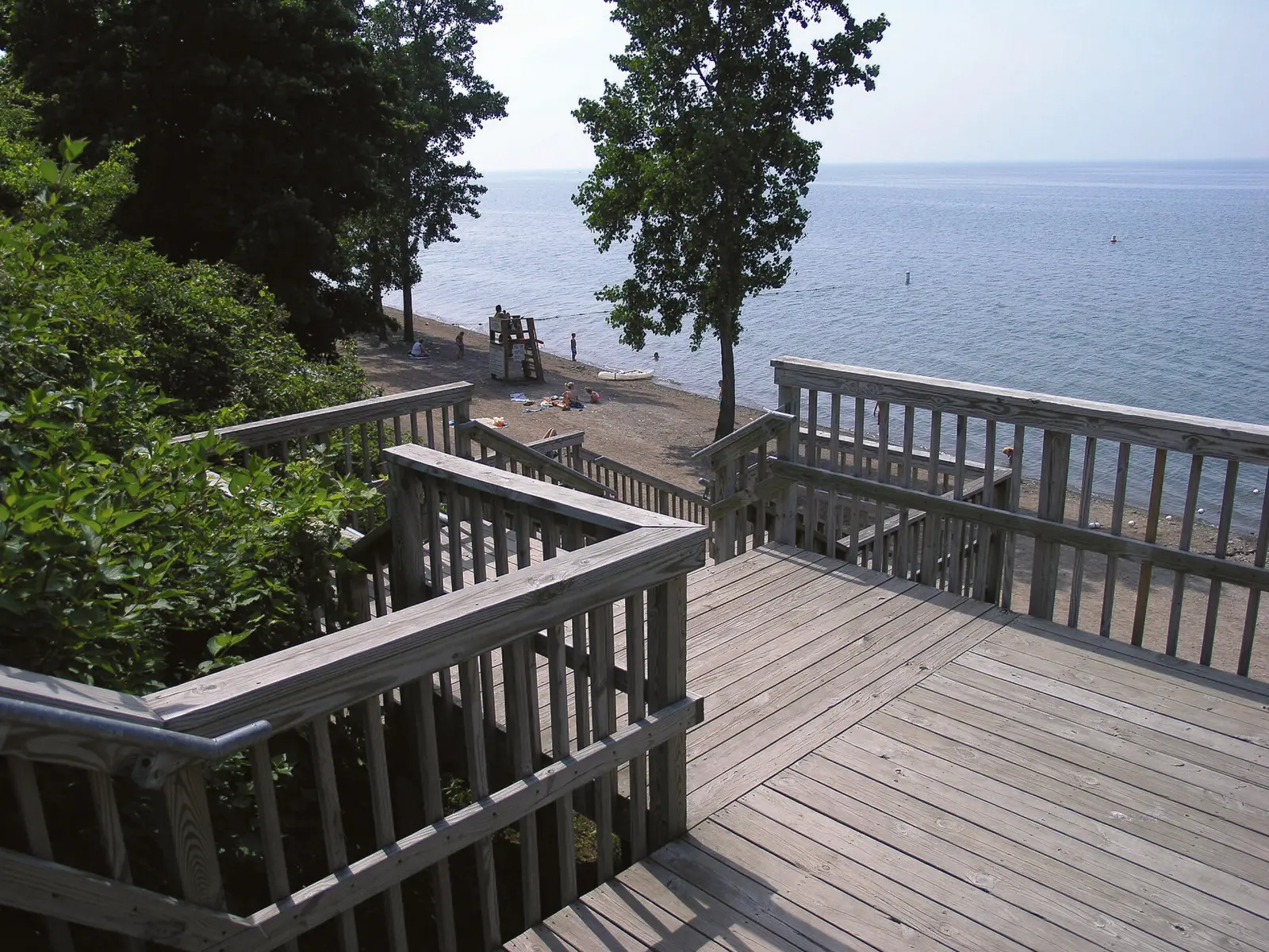 Plants and wildlife abound over 395 acres of mature woods, open meadows and marshland — Wilson-Tuscarora State Park