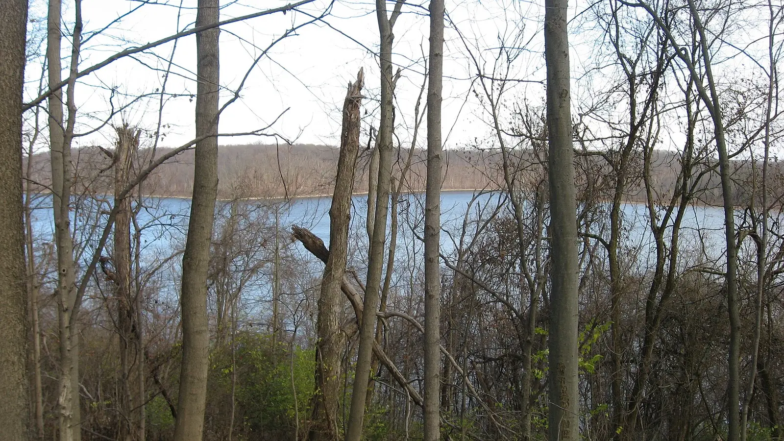 Overview of William H — East Fork State Park