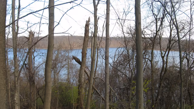 Overview of William H — East Fork State Park