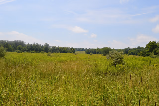 Looking west from the edge of the forest at Rocky Fork State Park in Marshall Township , Highland County , Ohio , United States