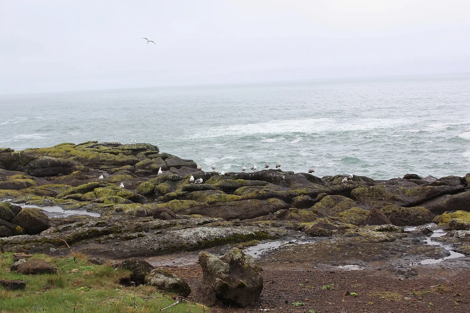 A rocky, grassy shore with surf at Boiler Bay State Scenic Viewpoint, Oregon