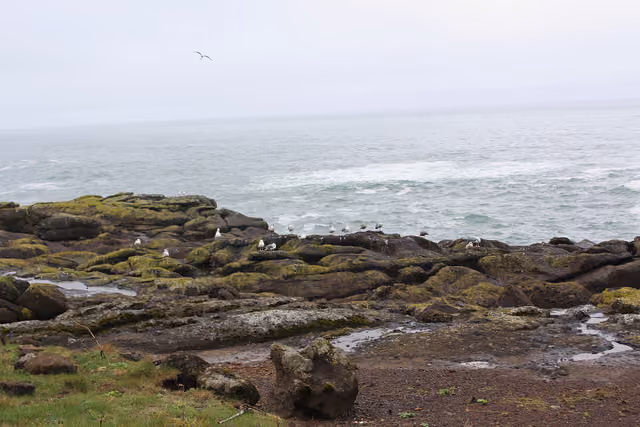 A rocky, grassy shore with surf at Boiler Bay State Scenic Viewpoint, Oregon