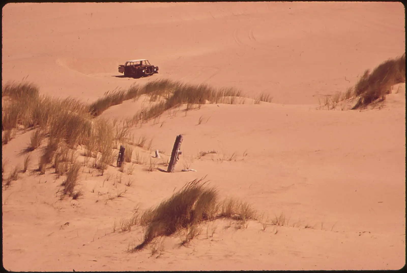 DUNE BUGGY IN NEW NATIONAL SEASHORE PARK, SIMPSON REEF - NARA - — Cape Arago State Park