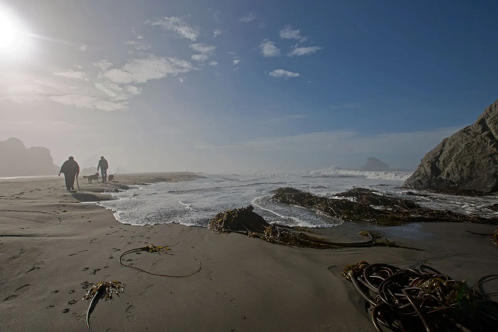 Harris Beach State Park, OR You are free to use this image with the following photo credit: Peter Pearsall/U.S