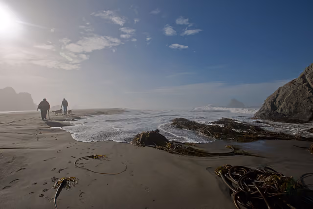 Harris Beach State Park, OR You are free to use this image with the following photo credit: Peter Pearsall/U.S