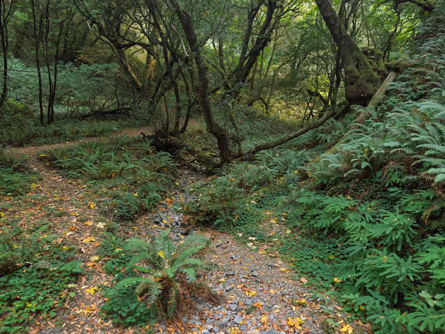 Humbug Mountain State Park, Oregon