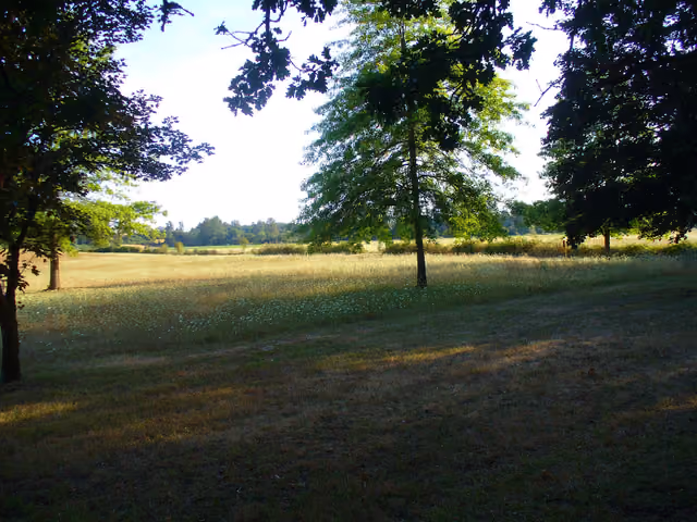 Grassy field looking southwest from walking trail at Molalla River State Park, Oregon