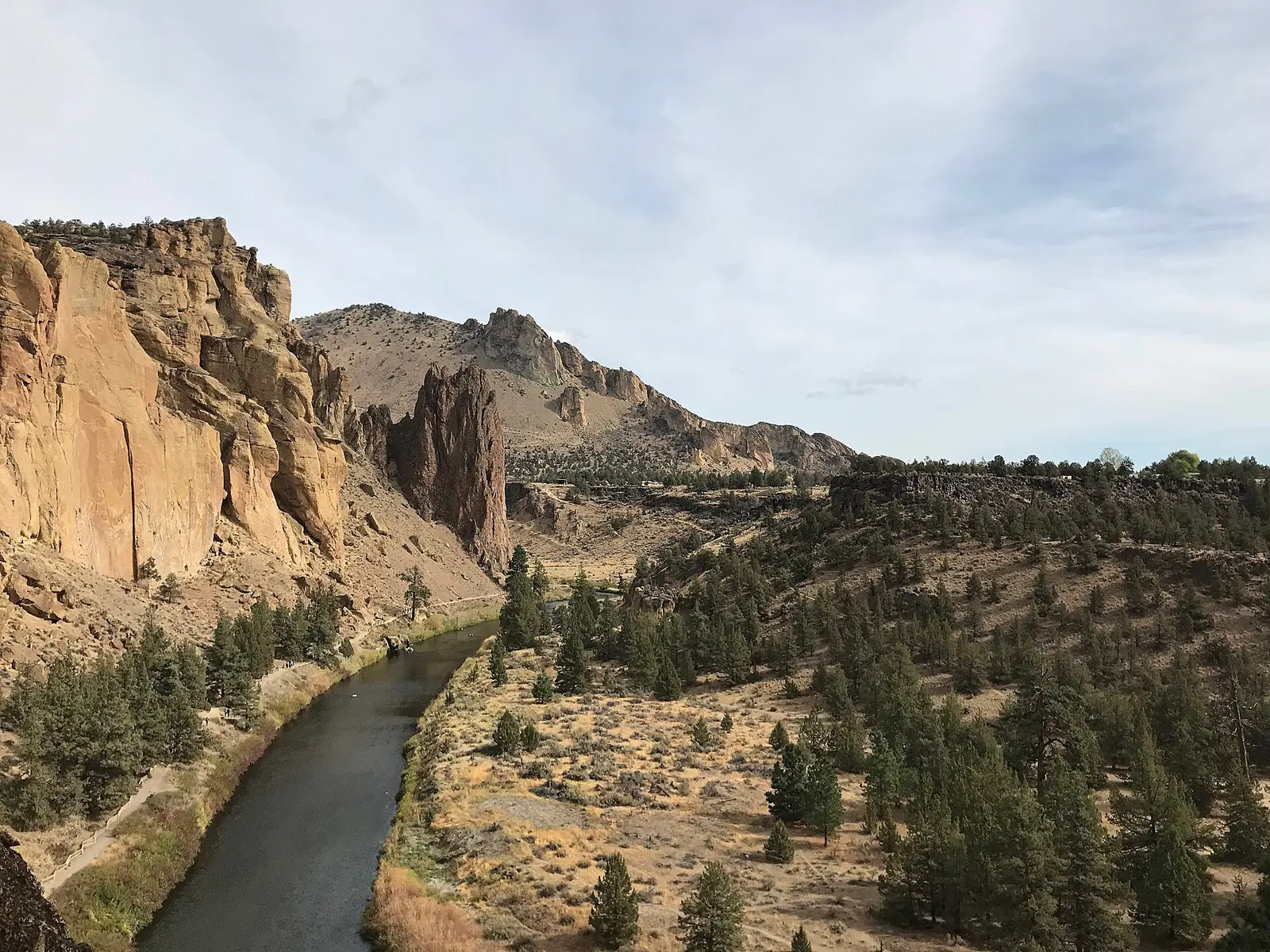 The Crooked River curving below tall tuff cliffs and a flat of scattered pines and junipers at Smith Rock State Park, Deschutes County,…