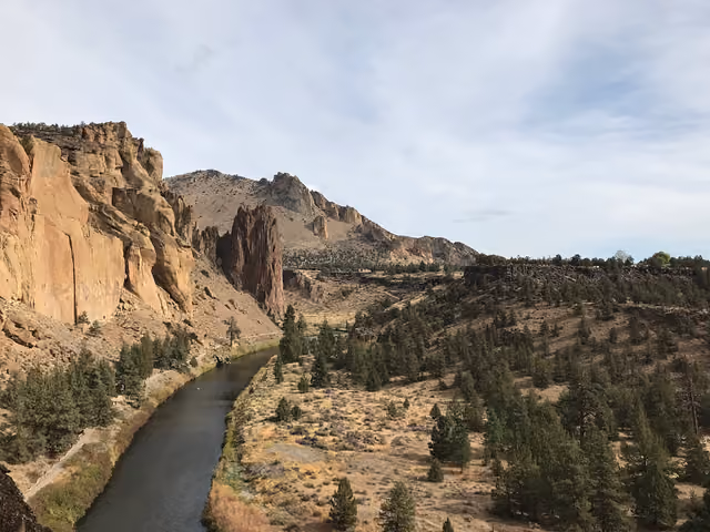 The Crooked River curving below tall tuff cliffs and a flat of scattered pines and junipers at Smith Rock State Park, Deschutes County,…