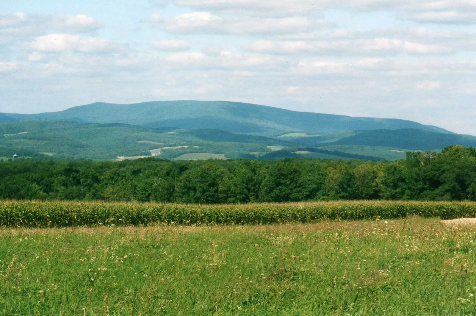 Blue Knob Mountain 4