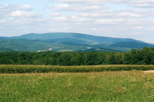 Blue Knob Mountain 4