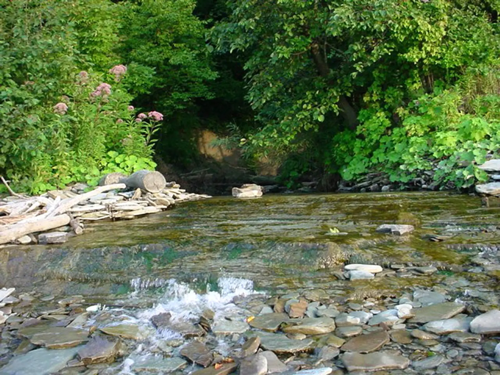 Great Lakes Seaway Trail - Erie Bluffs State Park - NARA -