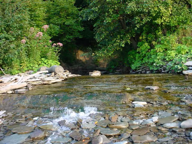 Great Lakes Seaway Trail - Erie Bluffs State Park - NARA -
