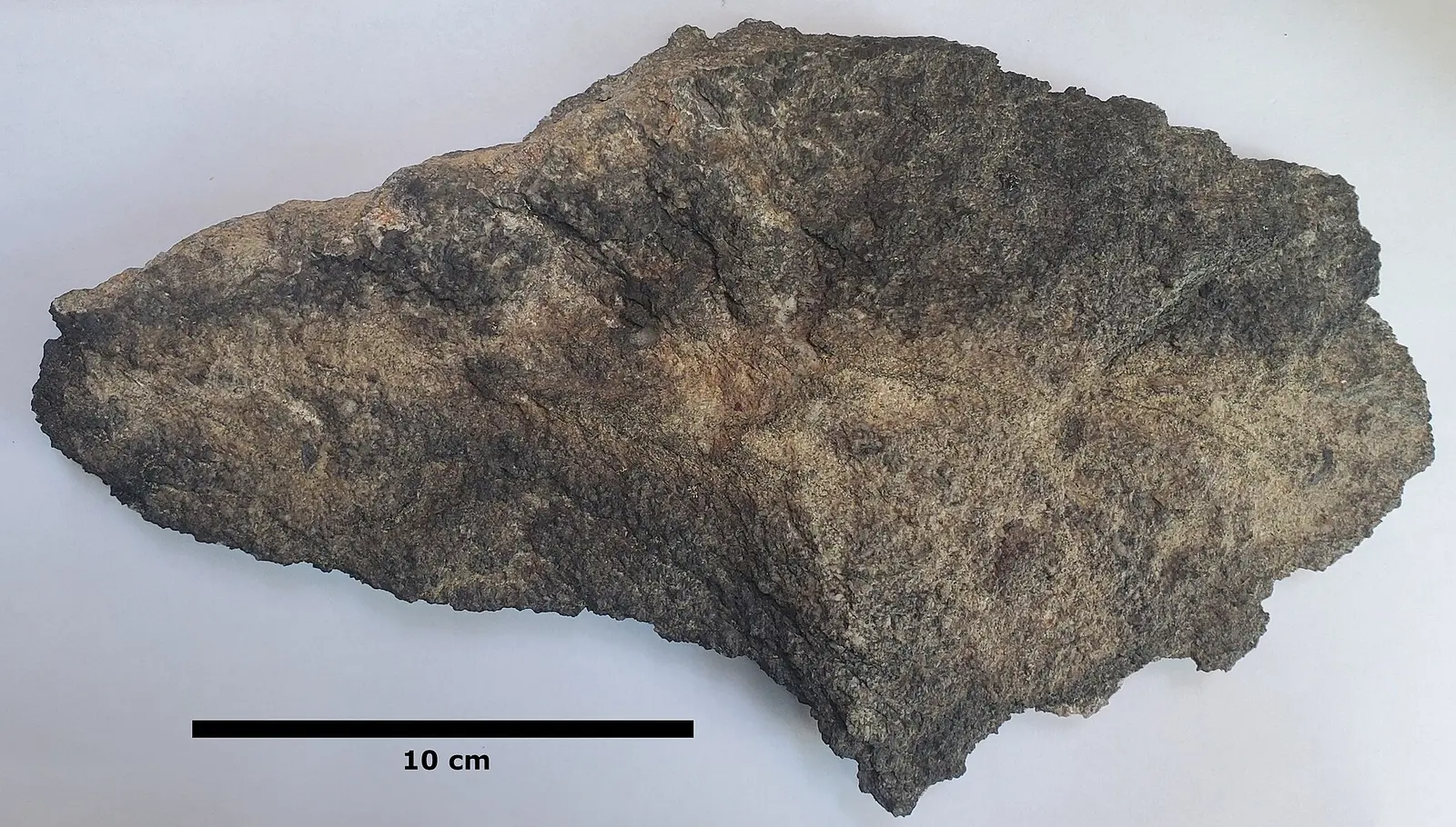 Sample of Weverton Formation from Sunset Rocks, near Pine Grove Furnace State Park, Pennsylvania