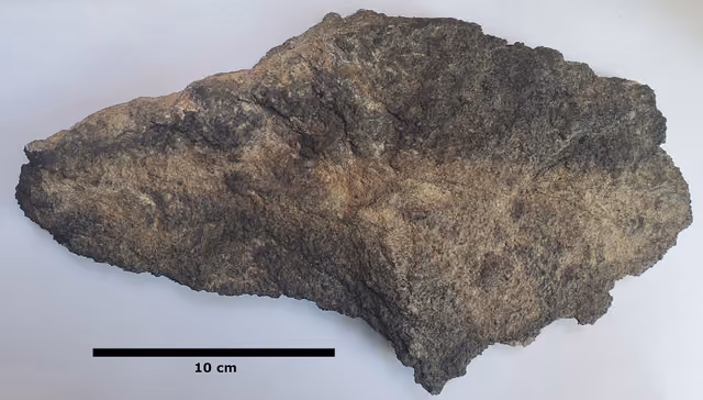 Sample of Weverton Formation from Sunset Rocks, near Pine Grove Furnace State Park, Pennsylvania