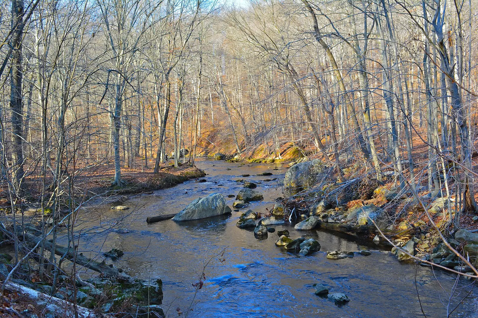 Ridley Creek in Ridley Creek State Park