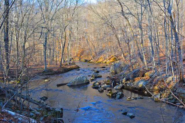 Ridley Creek in Ridley Creek State Park