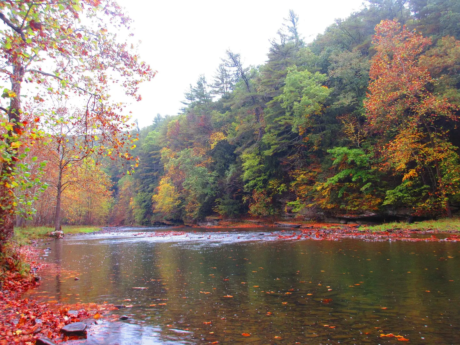 Sinnemahoningfall