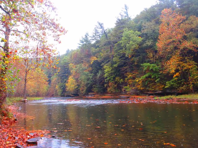 Sinnemahoningfall