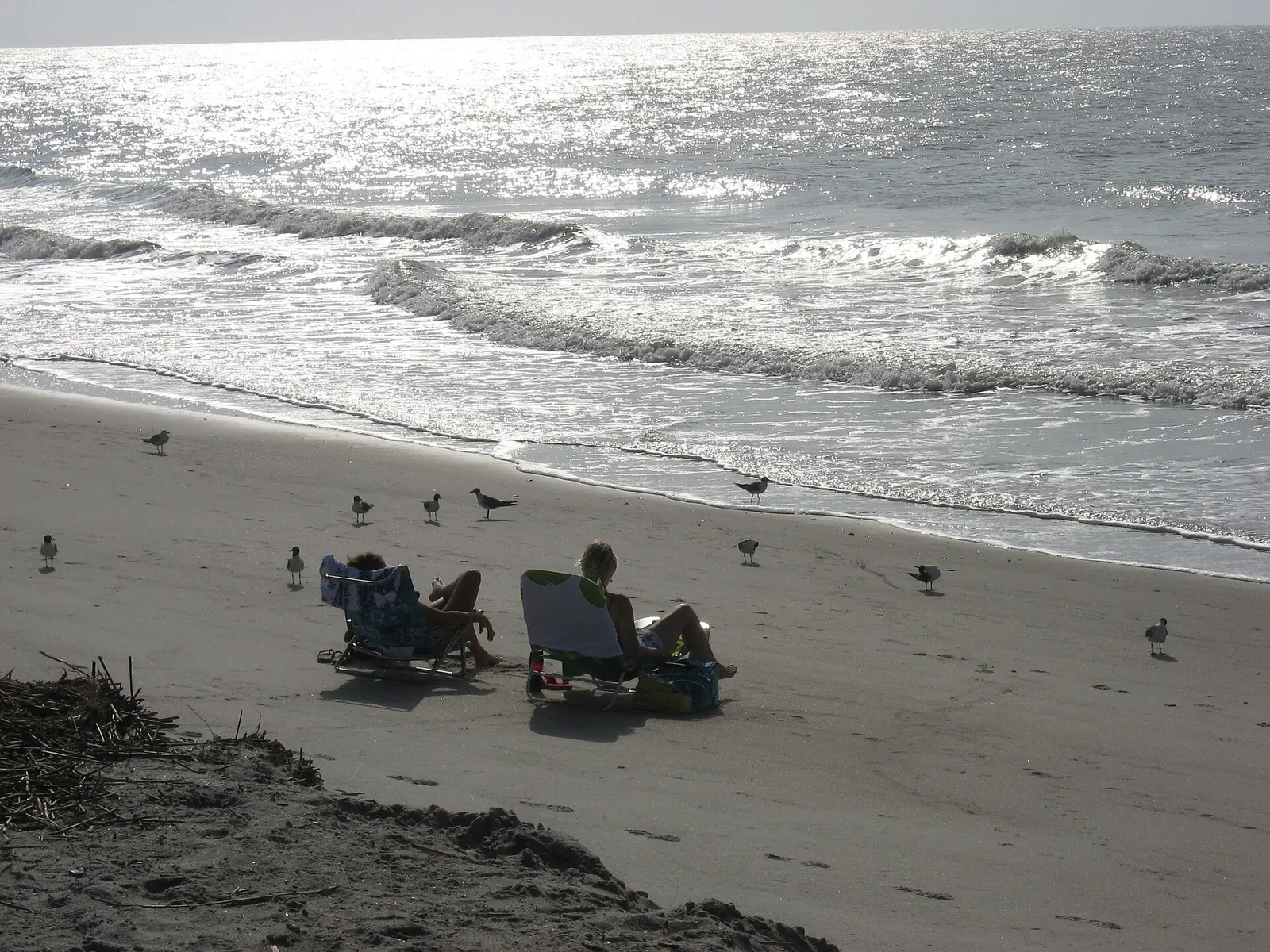 Edisto Island National Scenic Byway - Quiet Morning at Edisto Beach - NARA -