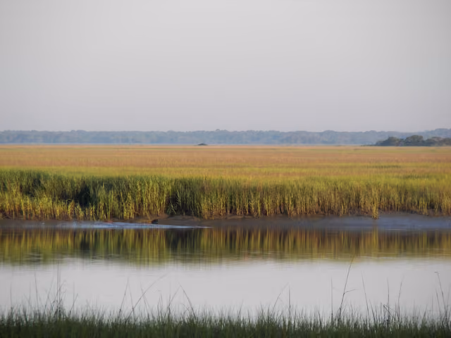 The marsh views from Hunting Island have become representative of the South Carolina Lowcountry