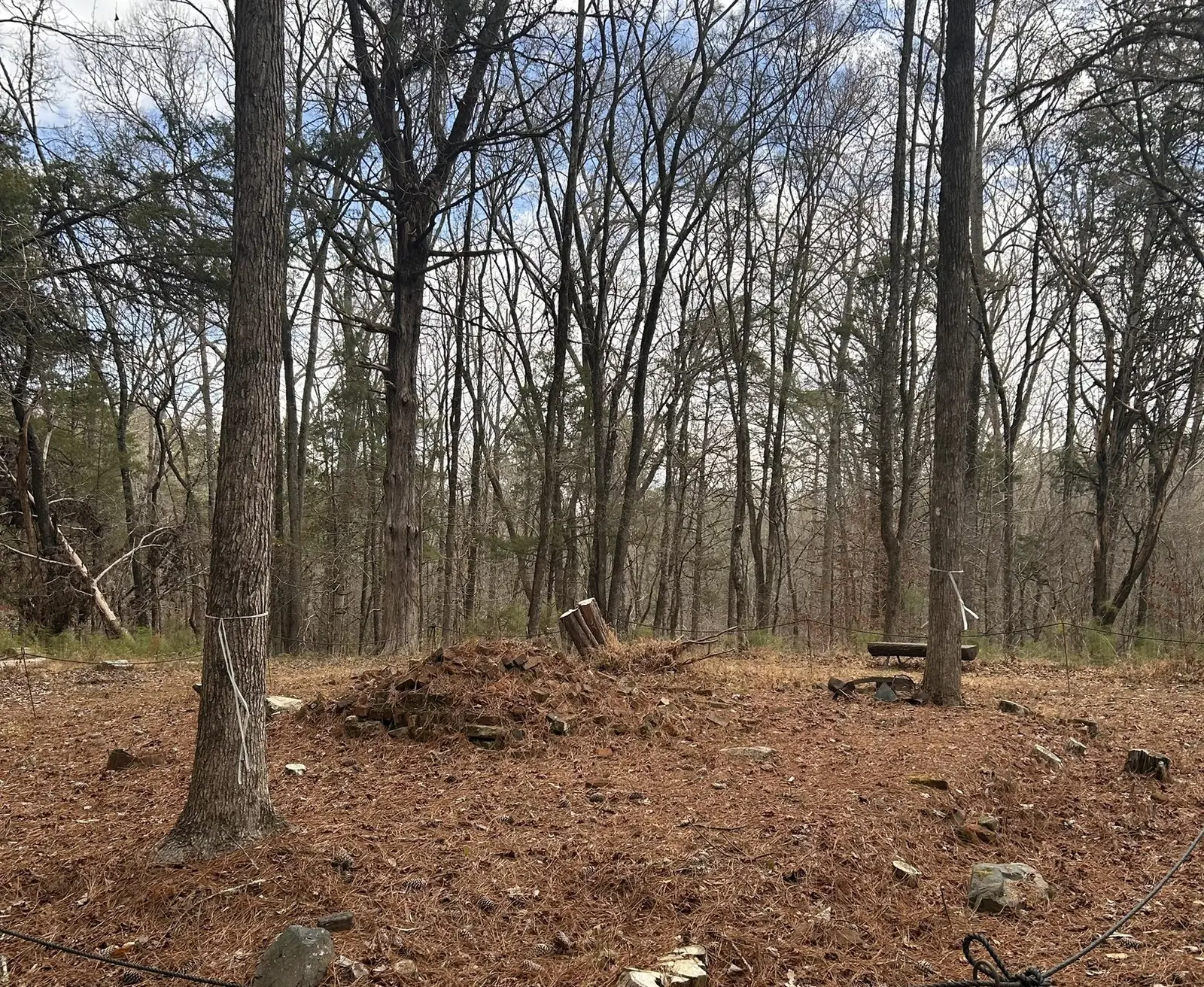 Old tenant housing in rubble from around the 1940s at the Rose Hill Plantation site, SC
