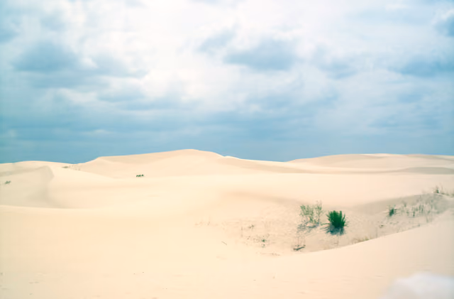 DesertMonahans