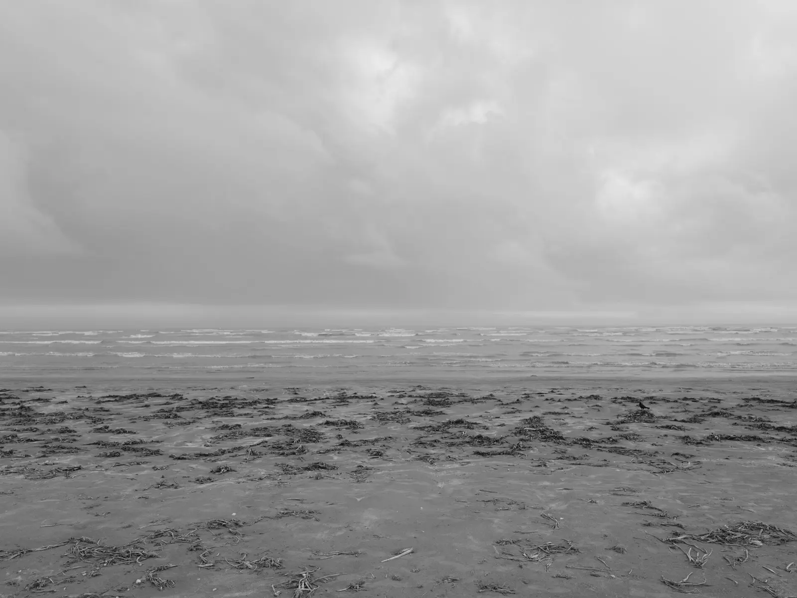 Public Lands Institute - Sea Rim State Park -