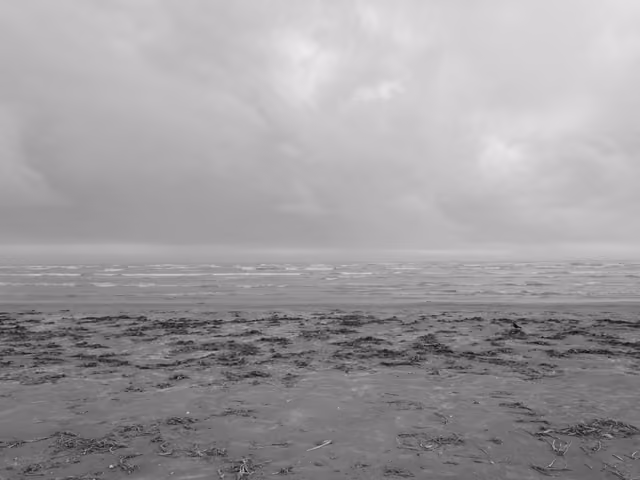 Public Lands Institute - Sea Rim State Park -