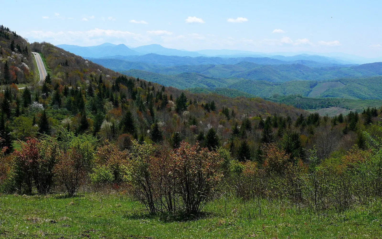 Looking west from Rhododendron Trail on Wilburn Ridge in Grayson Highlands State Park