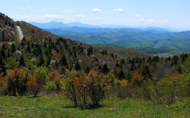 Looking west from Rhododendron Trail on Wilburn Ridge in Grayson Highlands State Park