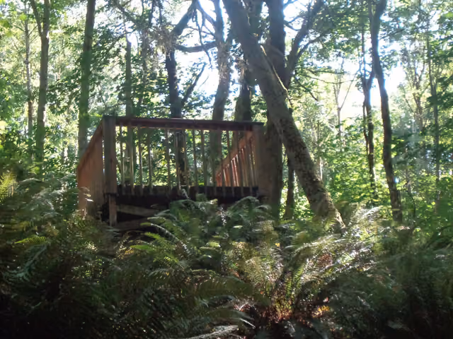 Picture of the viewpoint in DPSP — Dash Point State Park