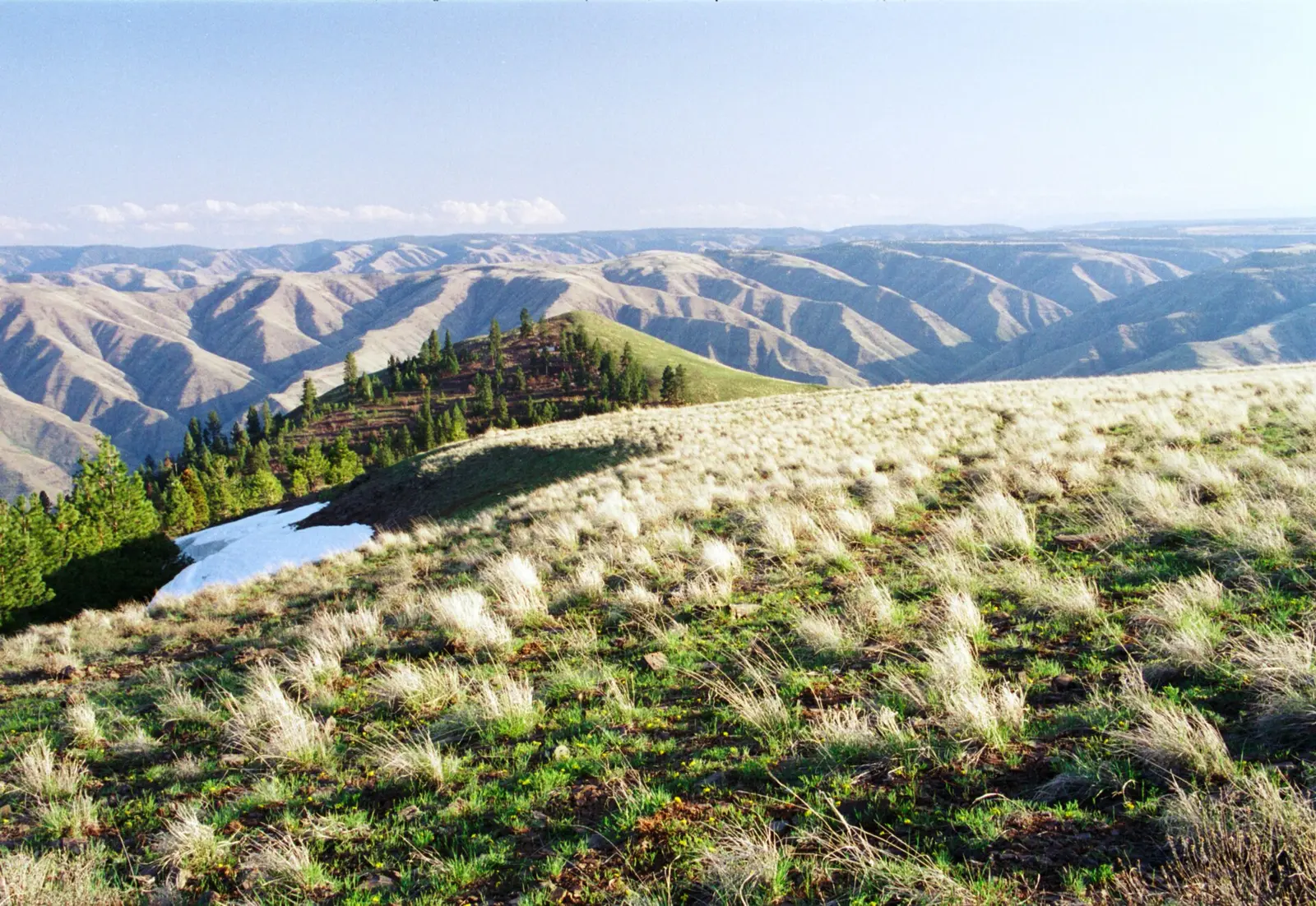 Summit of Puffer Butte, Washington, USA — Fields Spring State Park