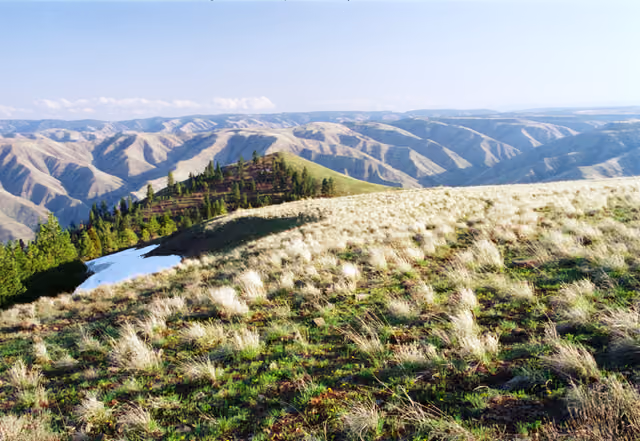 Summit of Puffer Butte, Washington, USA — Fields Spring State Park