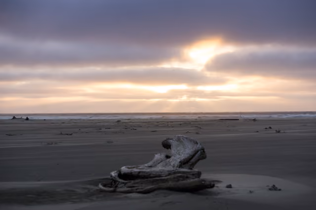 Grayland Beach State Park