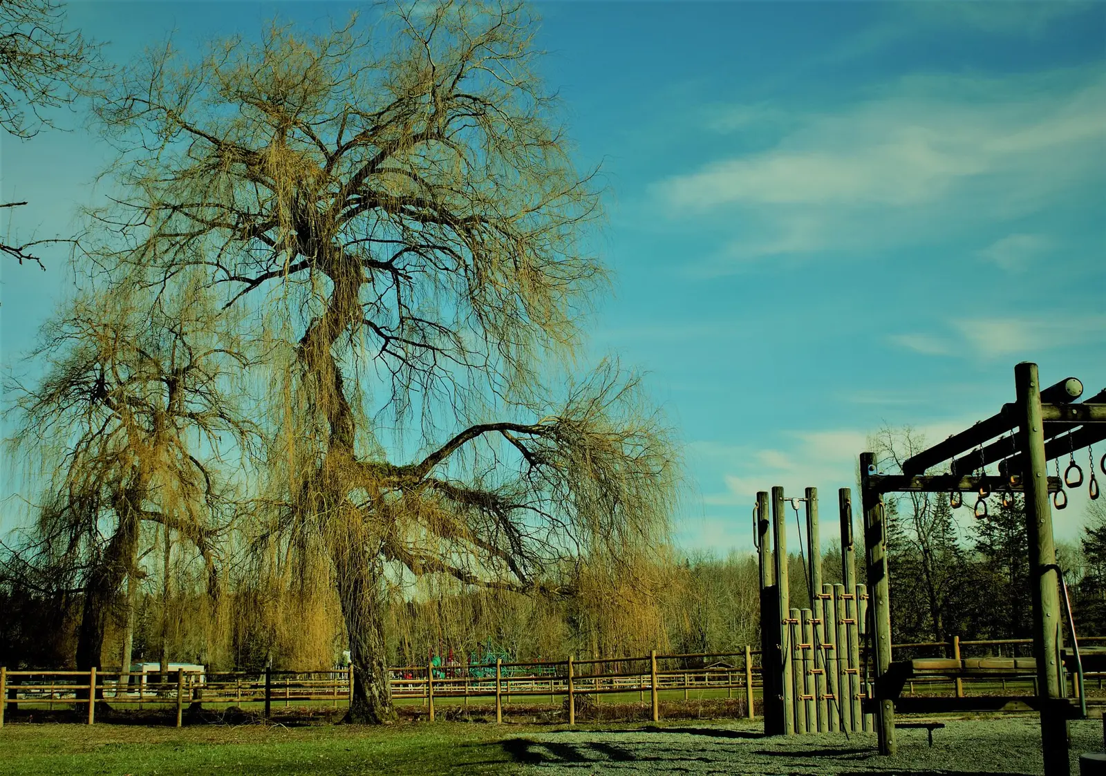 500px provided description: Clicked on Fe 12th at Lake Sammamish state park