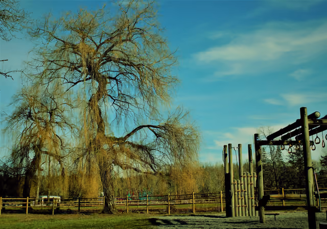 500px provided description: Clicked on Fe 12th at Lake Sammamish state park