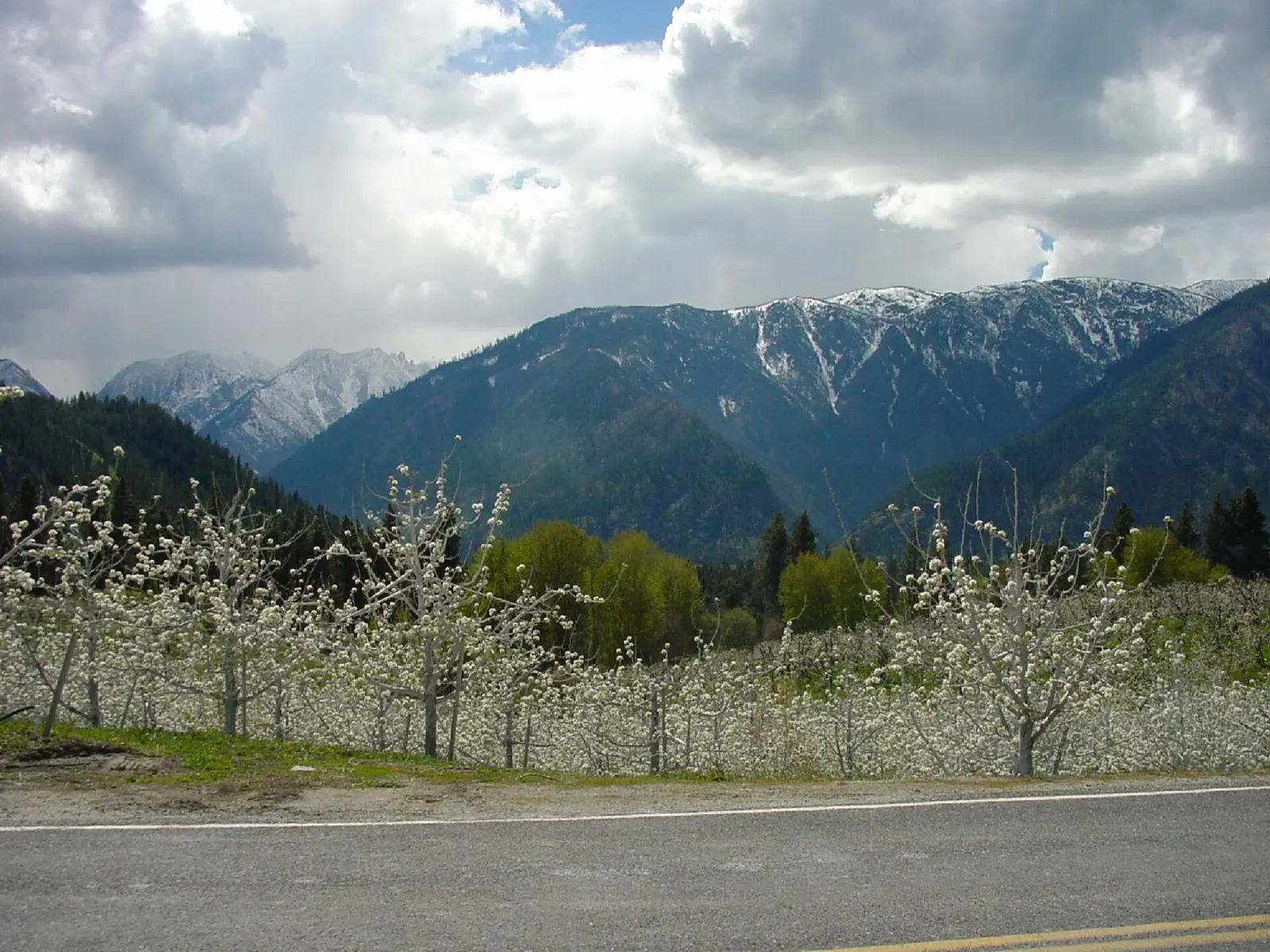 Stevens Pass Greenway - Peshastin Orchards - NARA -