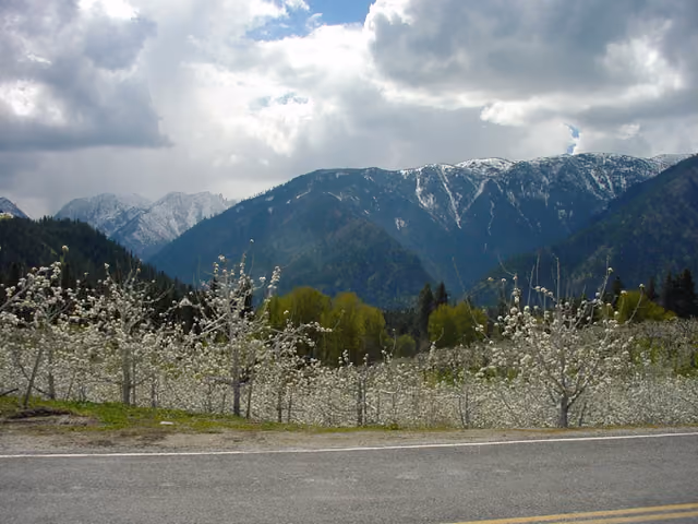 Stevens Pass Greenway - Peshastin Orchards - NARA -