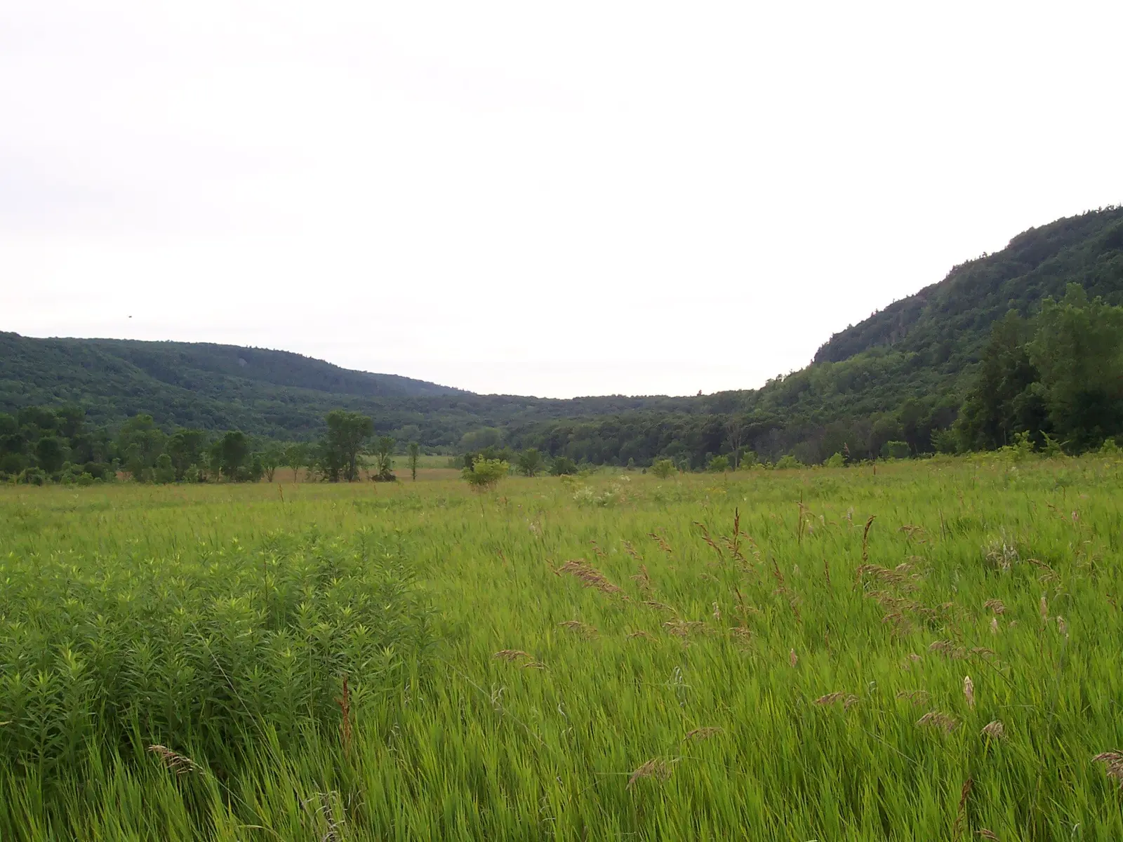 Picture I took of terminal moraine in Devil's Lake State Park