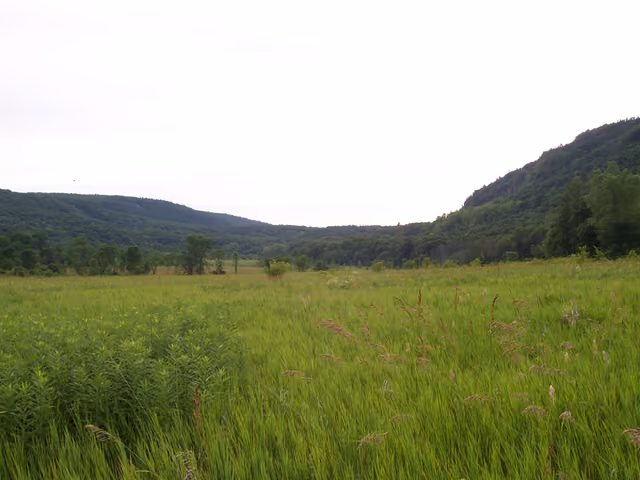 Picture I took of terminal moraine in Devil's Lake State Park