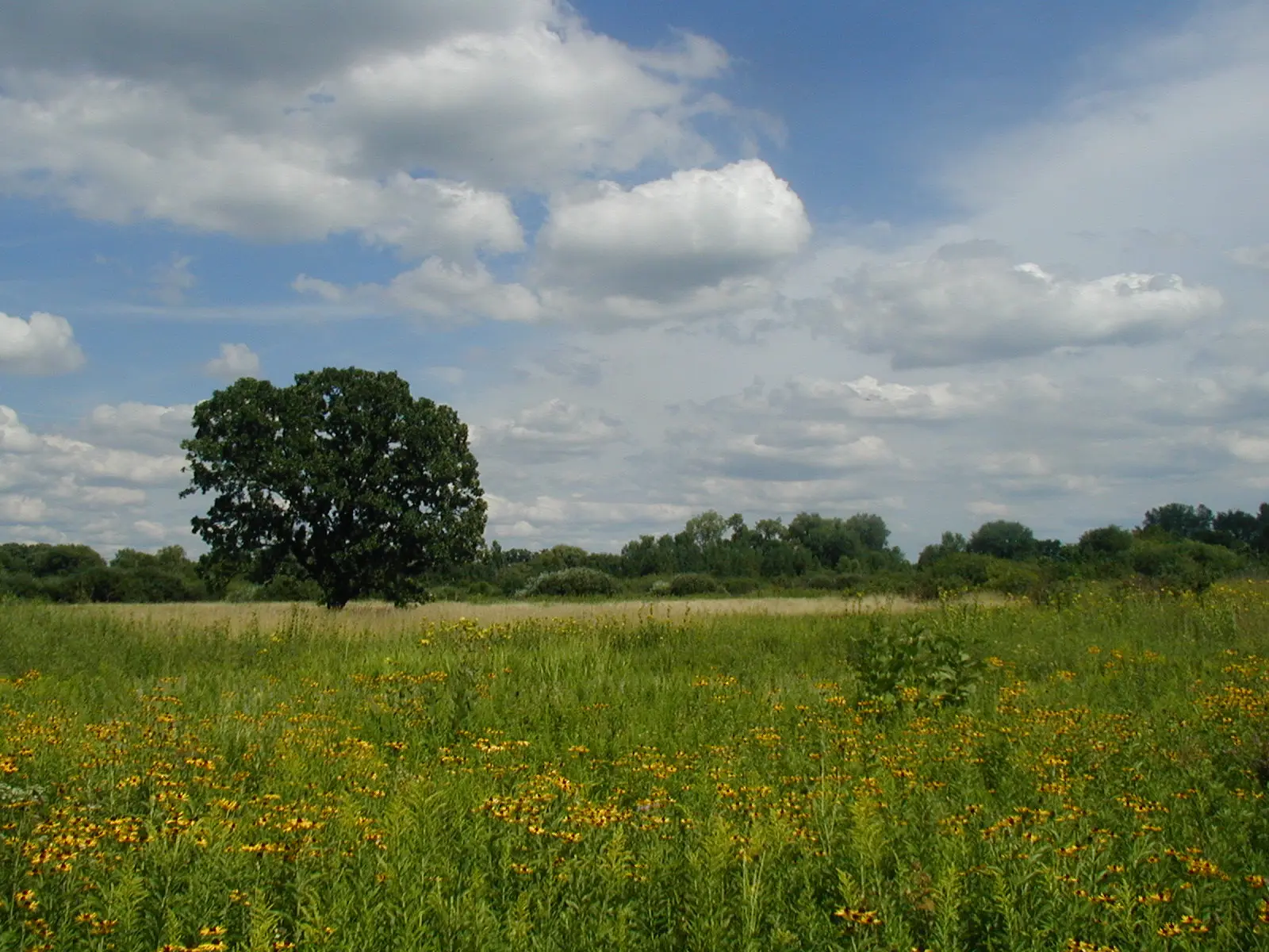 I took the photo myself — Governor Nelson State Park