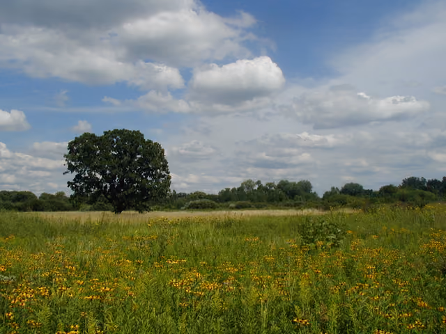 I took the photo myself — Governor Nelson State Park