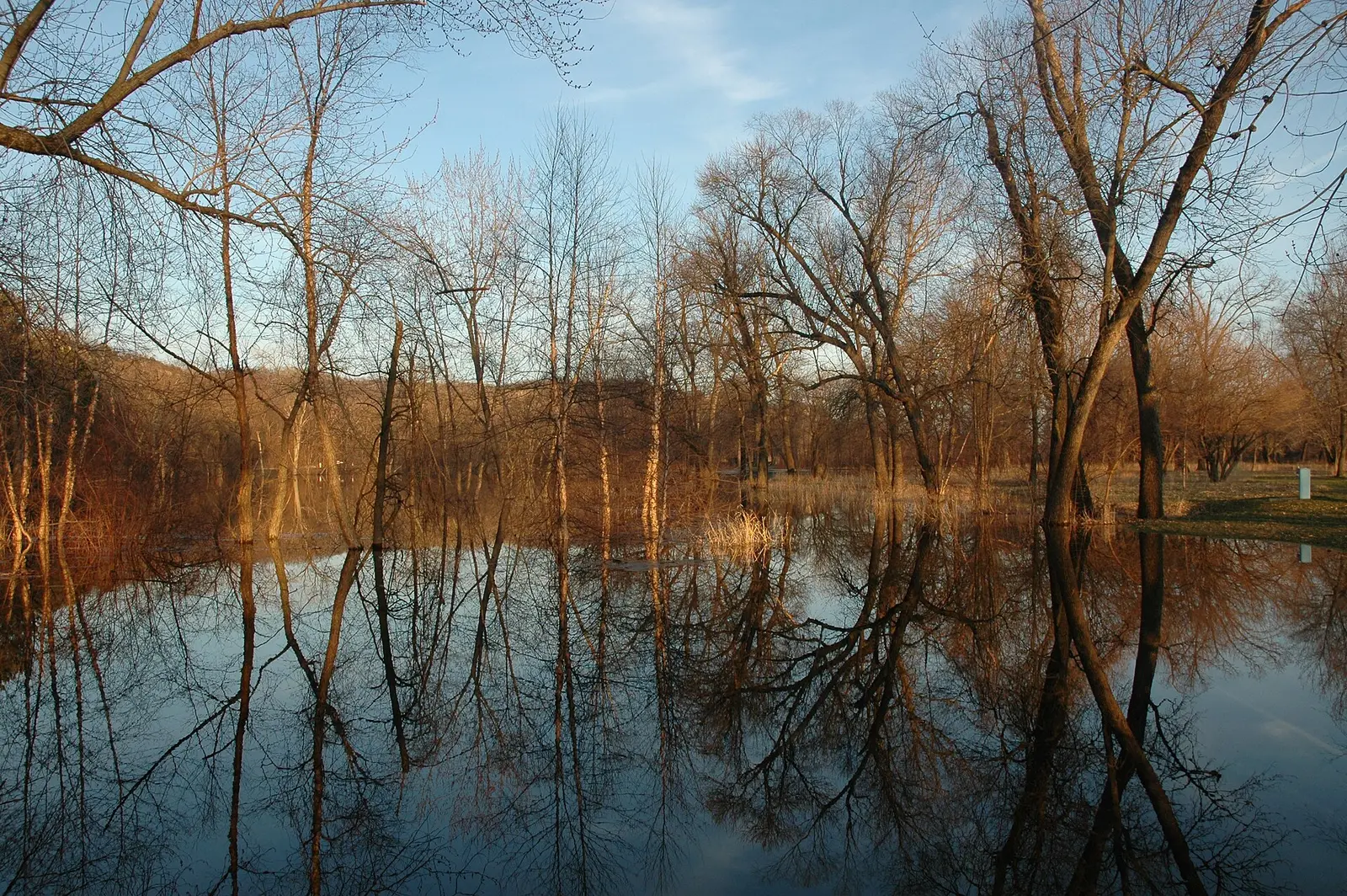 Scope and content: The original finding aid described this photograph as: Original Caption: High water floods Merrick State Park in…