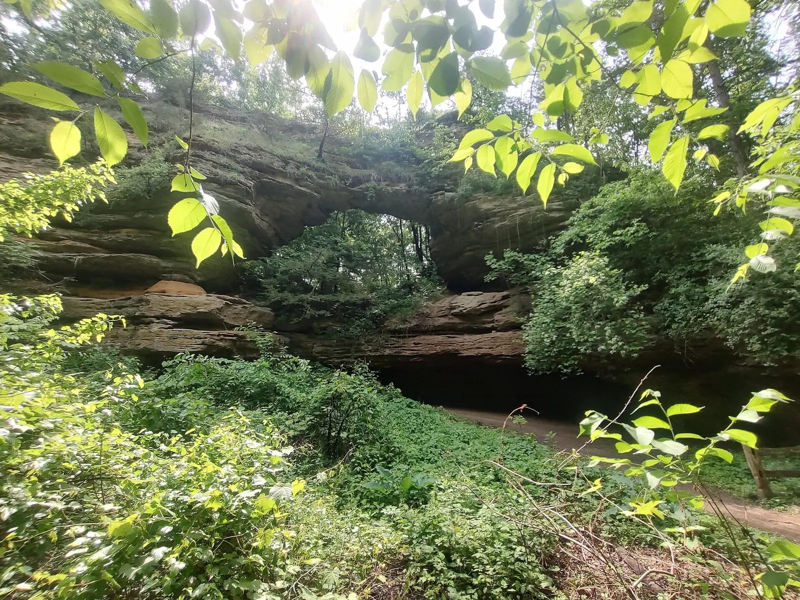 A view of the natural bridge and rockshelter in the state park in Sauk County, Wisconsin